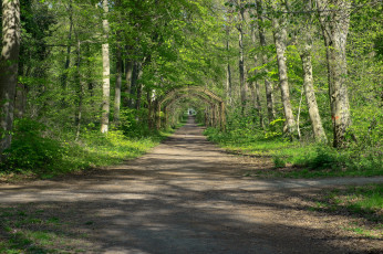 Картинка природа дороги тракт