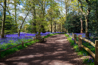 Картинка природа дороги тракт