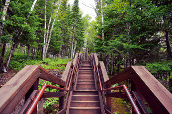 Картинка природа дороги тракт