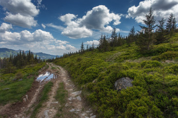 Картинка природа дороги тракт