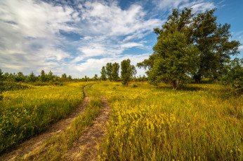 Картинка природа дороги тракт