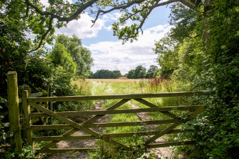 Картинка природа дороги тракт