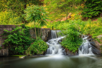 Картинка природа водопады река лес водопад