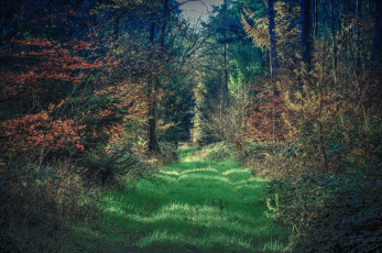 Картинка природа дороги тракт