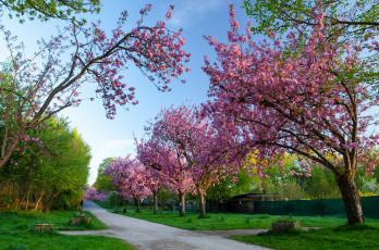 Картинка природа дороги тракт