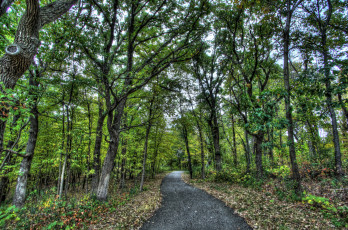 Картинка природа дороги тракт