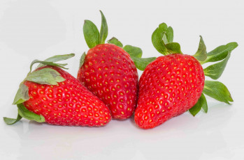 Картинка еда клубника +земляника ягоды