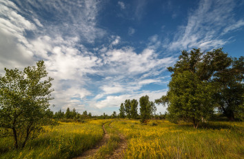 Картинка природа дороги тракт