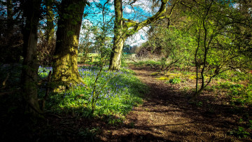 Картинка природа дороги тракт