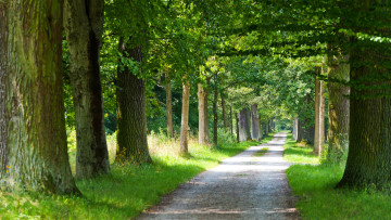 Картинка природа дороги тракт