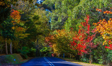 Картинка природа дороги тракт