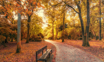 Картинка природа дороги тракт