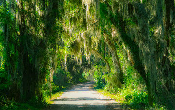 Картинка природа дороги тракт