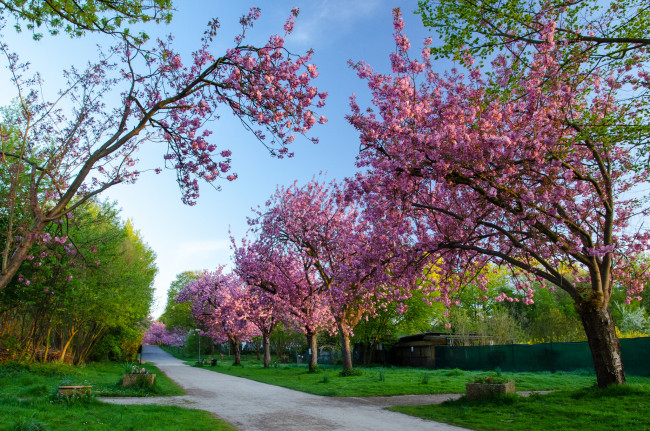 Обои картинки фото природа, дороги, тракт