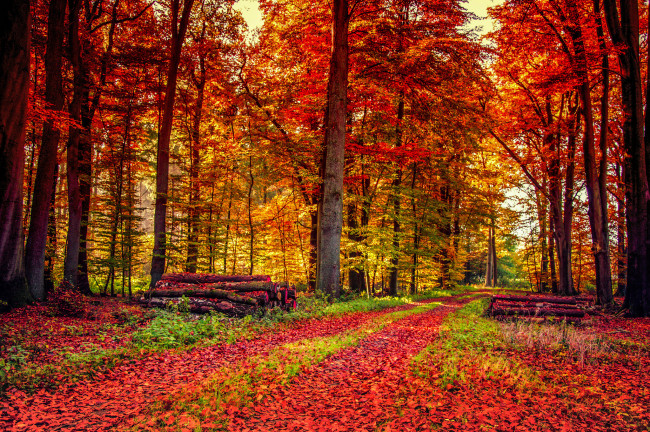 Обои картинки фото природа, дороги, тракт