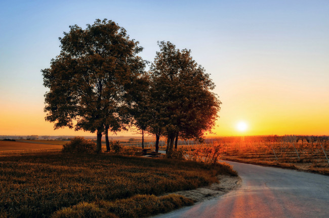 Обои картинки фото природа, дороги, тракт