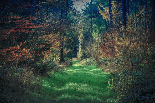 Обои картинки фото природа, дороги, тракт