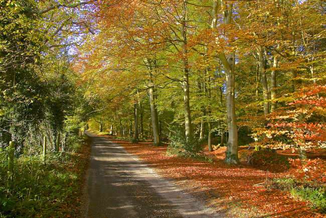 Обои картинки фото природа, дороги, тракт