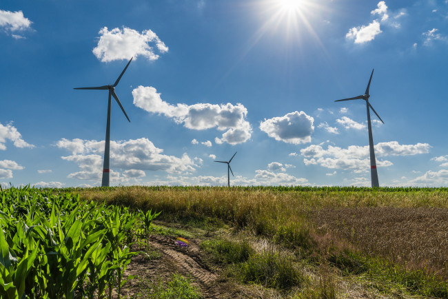 Обои картинки фото природа, дороги, тракт