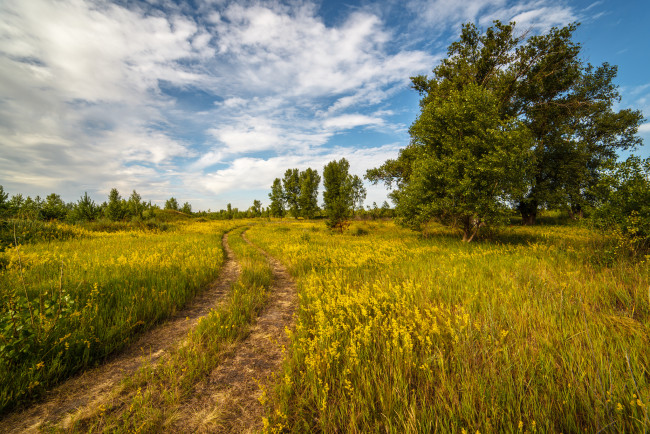 Обои картинки фото природа, дороги, тракт