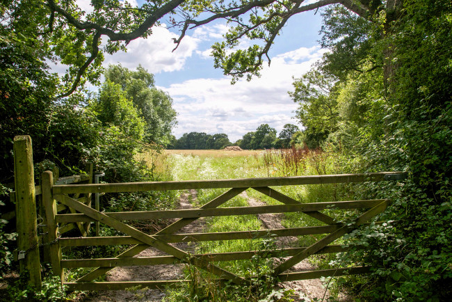 Обои картинки фото природа, дороги, тракт