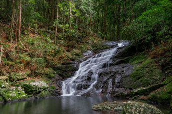 Картинка природа водопады лес река водопад
