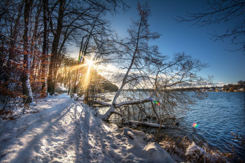 Картинка природа реки озера река лес