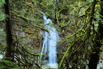 Картинка природа водопады река водопад лес