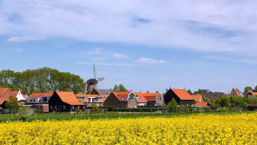 Картинка города -+пейзажи поле рапс дома мельница