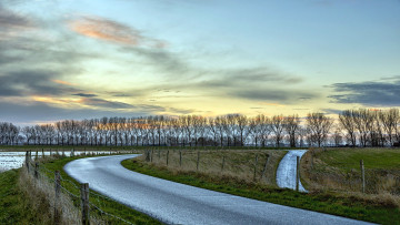 Картинка природа дороги дорога деревья