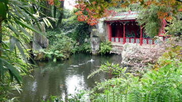 Картинка природа парк осень водоем