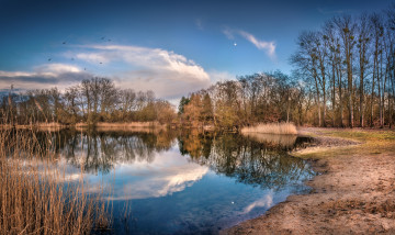 Картинка природа реки озера лес река