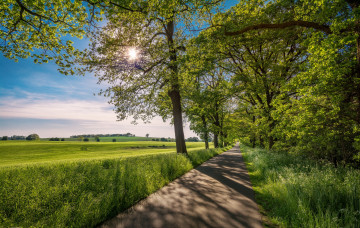 Картинка природа дороги тракт