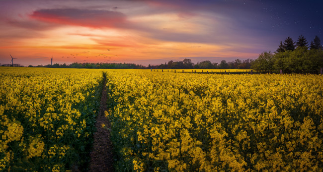 Обои картинки фото природа, поля, рассвет