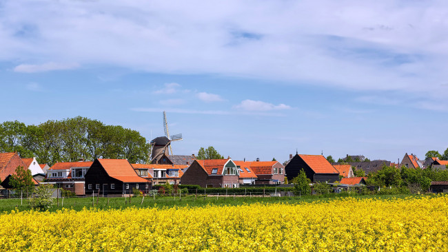 Обои картинки фото города, - пейзажи, поле, рапс, дома, мельница