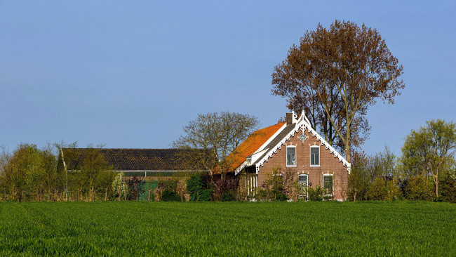 Обои картинки фото города, - здания,  дома, дом, деревья, лужайка