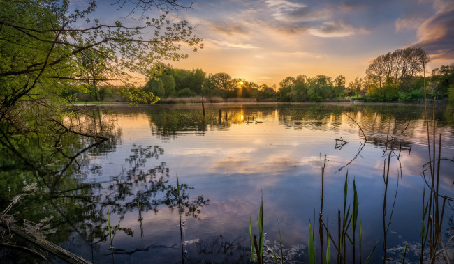 Обои картинки фото природа, реки, озера, лес, река