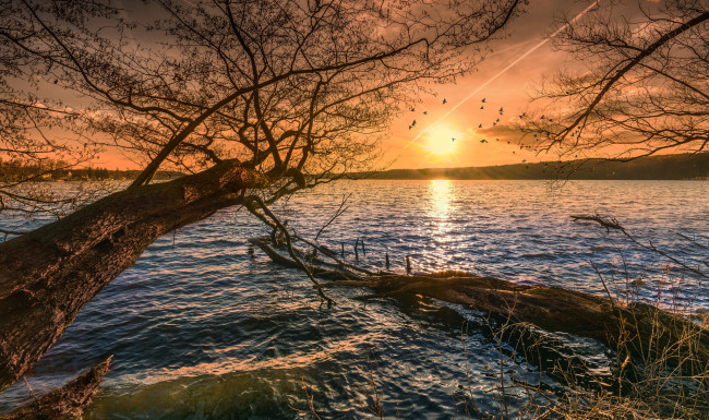 Обои картинки фото природа, восходы, закаты, рассвет