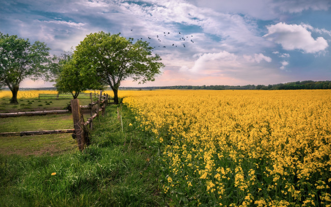 Обои картинки фото природа, поля, простор