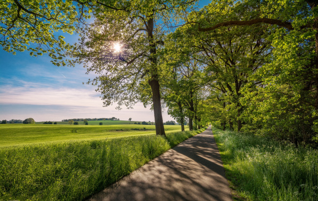 Обои картинки фото природа, дороги, тракт