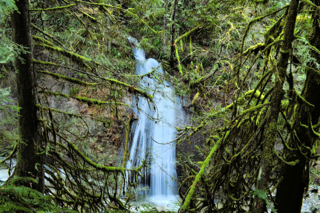 Обои картинки фото природа, водопады, река, водопад, лес