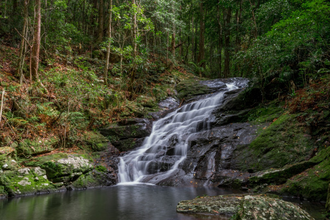 Обои картинки фото природа, водопады, лес, река, водопад