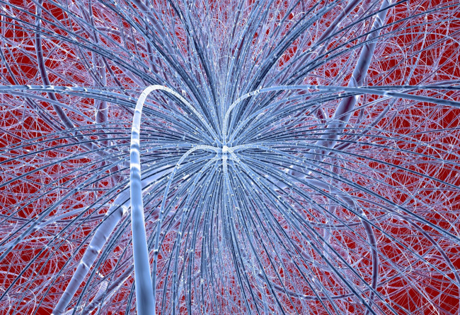 Обои картинки фото 3д графика, абстракция , abstract, узор, фон, цвета