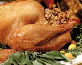 Картинка еда мясные+блюда курица