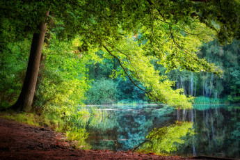 Картинка природа реки озера простор