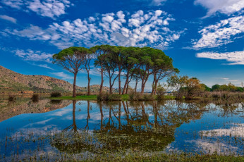 Картинка природа реки озера простор