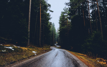 Картинка природа дороги шоссе