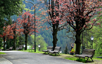 Картинка природа парк аллея скамейки фонари