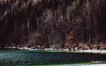 Картинка природа реки озера река