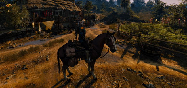 Обои картинки фото видео игры, the witcher 3,  wild hunt, персонаж